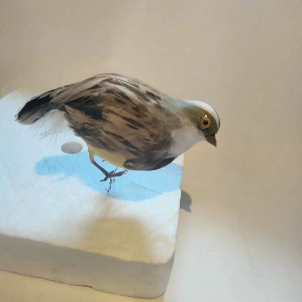 Artificial Decorative Bird Figurine Quail Real Feather Crafting Floral Decor